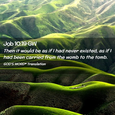 Picture 02 - Job 10:19 GW - Then it would be as if I had never existed, as if - Bible Verse Picture