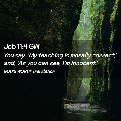 Picture 02 - Job 11:4 GW - You say, ‘My teaching is morally correct,’ - Bible Verse Picture