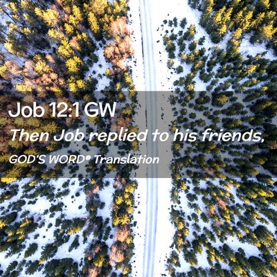 Picture 02 - Job 12:1 GW - Then Job replied to his - Bible Verse Picture