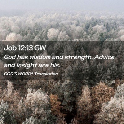 Picture 02 - Job 12:13 GW - God has wisdom and strength. Advice and insight - Bible Verse Picture