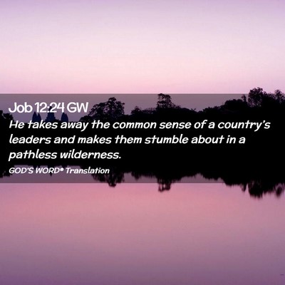 Picture 02 - Job 12:24 GW - He takes away the common sense of a country’s - Bible Verse Picture