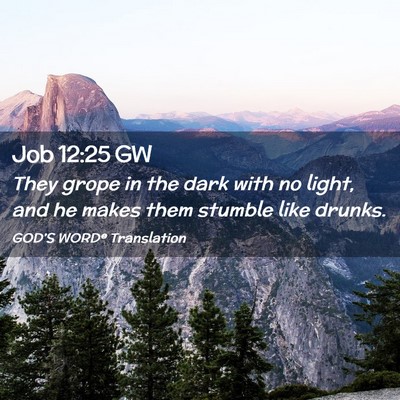 Picture 02 - Job 12:25 GW - They grope in the dark with no light, and he - Bible Verse Picture