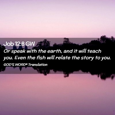 Picture 02 - Job 12:8 GW - Or speak with the earth, and it will teach you. - Bible Verse Picture