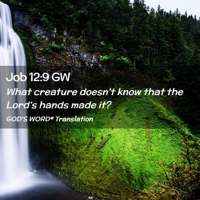 Picture 02 - Job 12:9 GW - What creature doesn’t know that the Lord’s - Bible Verse Picture