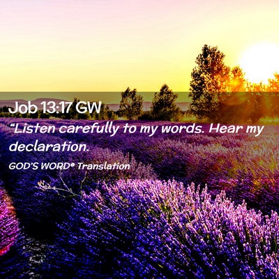 Picture 02 - Job 13:17 GW - “Listen carefully to my words. Hear my - Bible Verse Picture