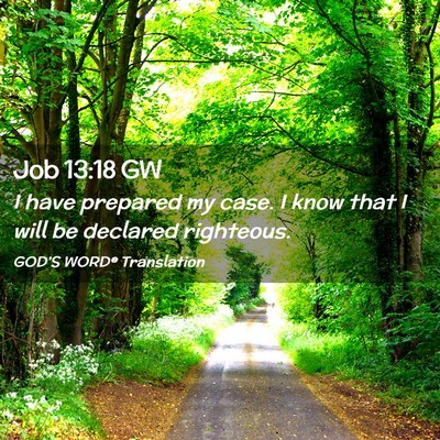 Picture 02 - Job 13:18 GW - I have prepared my case. I know that I will be - Bible Verse Picture