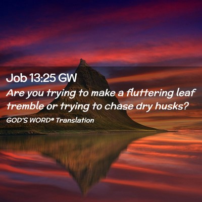 Picture 02 - Job 13:25 GW - Are you trying to make a fluttering leaf tremble - Bible Verse Picture