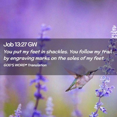 Picture 02 - Job 13:27 GW - You put my feet in shackles. You follow my trail - Bible Verse Picture
