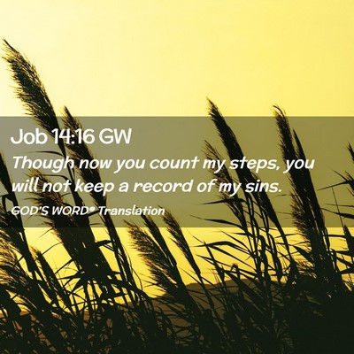 Picture 02 - Job 14:16 GW - Though now you count my steps, you will not keep - Bible Verse Picture