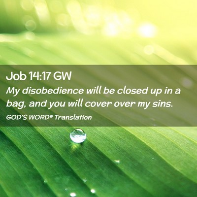 Picture 02 - Job 14:17 GW - My disobedience will be closed up in a bag, and - Bible Verse Picture