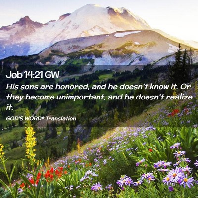 Picture 02 - Job 14:21 GW - His sons are honored, and he doesn’t know it. - Bible Verse Picture
