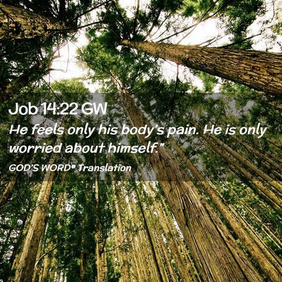 Picture 02 - Job 14:22 GW - He feels only his body’s pain. He is only - Bible Verse Picture