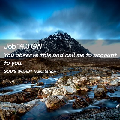 Picture 02 - Job 14:3 GW - You observe this and call me to account to - Bible Verse Picture