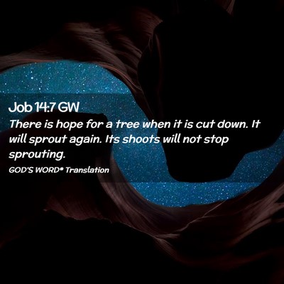 Picture 02 - Job 14:7 GW - There is hope for a tree when it is cut down. It - Bible Verse Picture