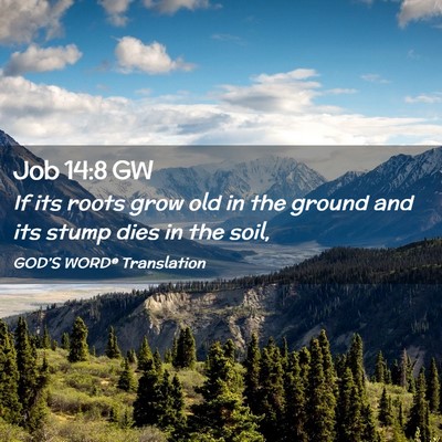 Picture 02 - Job 14:8 GW - If its roots grow old in the ground and its stump - Bible Verse Picture