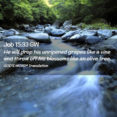 Picture 02 - Job 15:33 GW - He will drop his unripened grapes like a vine and - Bible Verse Picture