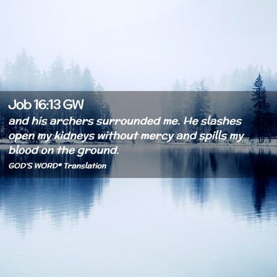 Picture 02 - Job 16:13 GW - and his archers surrounded me. He slashes open my - Bible Verse Picture