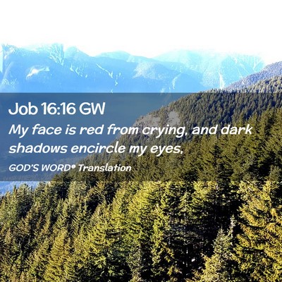 Picture 02 - Job 16:16 GW - My face is red from crying, and dark shadows - Bible Verse Picture