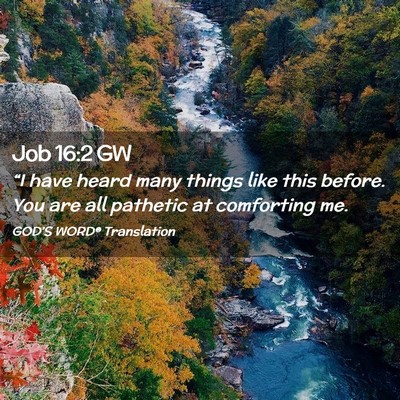 Picture 02 - Job 16:2 GW - “I have heard many things like this before. You - Bible Verse Picture