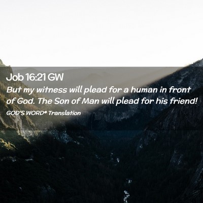 Picture 02 - Job 16:21 GW - But my witness will plead for a human in front of - Bible Verse Picture