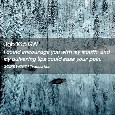 Picture 02 - Job 16:5 GW - I could encourage you with my mouth, and my - Bible Verse Picture
