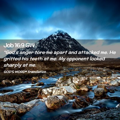 Picture 02 - Job 16:9 GW - “God’s anger tore me apart and attacked me. - Bible Verse Picture