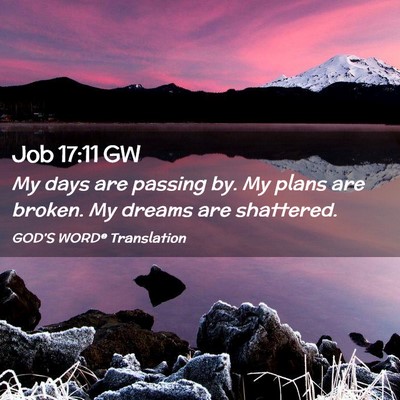 Picture 02 - Job 17:11 GW - My days are passing by. My plans are broken. My - Bible Verse Picture