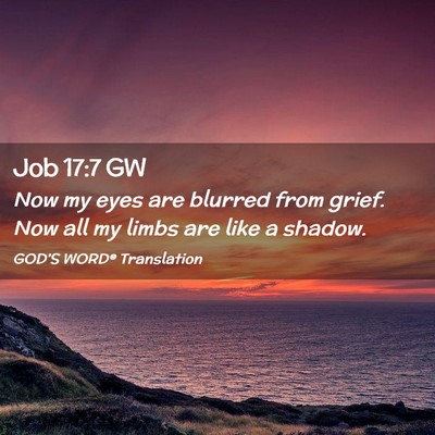 Picture 02 - Job 17:7 GW - Now my eyes are blurred from grief. Now all my - Bible Verse Picture