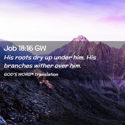 Picture 02 - Job 18:16 GW - His roots dry up under him. His branches wither - Bible Verse Picture