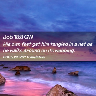 Picture 02 - Job 18:8 GW - His own feet get him tangled in a net as he walks - Bible Verse Picture
