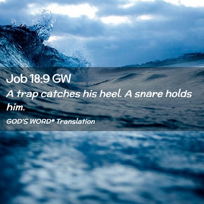 Picture 02 - Job 18:9 GW - A trap catches his heel. A snare holds - Bible Verse Picture