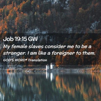 Picture 02 - Job 19:15 GW - My female slaves consider me to be a stranger. I - Bible Verse Picture