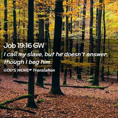 Picture 02 - Job 19:16 GW - I call my slave, but he doesn’t answer, though - Bible Verse Picture