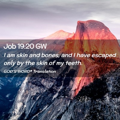 Picture 02 - Job 19:20 GW - I am skin and bones, and I have escaped only by - Bible Verse Picture