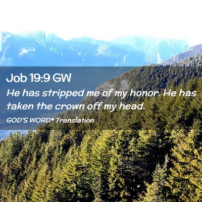 Picture 02 - Job 19:9 GW - He has stripped me of my honor. He has taken the - Bible Verse Picture
