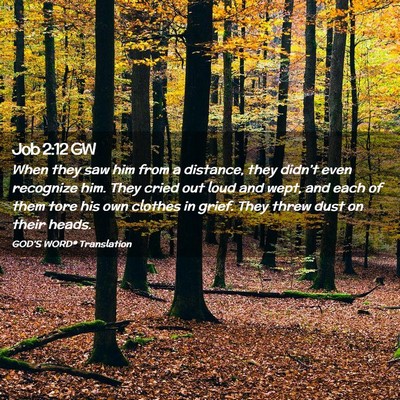 Picture 02 - Job 2:12 GW - When they saw him from a distance, they didn’t - Bible Verse Picture