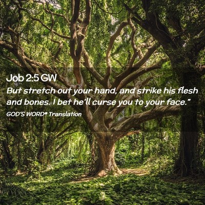 Picture 02 - Job 2:5 GW - But stretch out your hand, and strike his flesh - Bible Verse Picture
