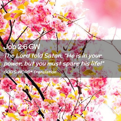 Picture 02 - Job 2:6 GW - The Lord told Satan, “He is in your power, but - Bible Verse Picture