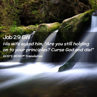 Picture 02 - Job 2:9 GW - His wife asked him, “Are you still holding on - Bible Verse Picture