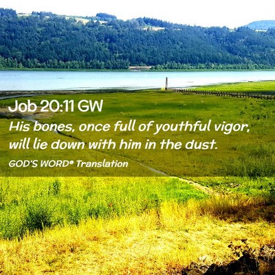 Picture 02 - Job 20:11 GW - His bones, once full of youthful vigor, will lie - Bible Verse Picture