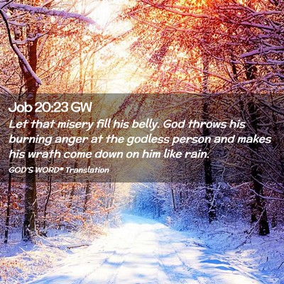 Picture 02 - Job 20:23 GW - Let that misery fill his belly. God throws his - Bible Verse Picture