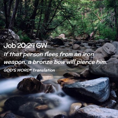 Picture 02 - Job 20:24 GW - If that person flees from an iron weapon, a - Bible Verse Picture
