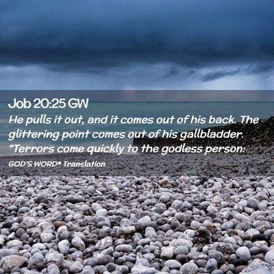Picture 02 - Job 20:25 GW - He pulls it out, and it comes out of his back. - Bible Verse Picture