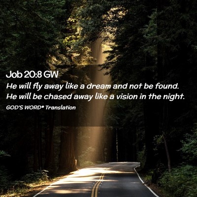 Picture 02 - Job 20:8 GW - He will fly away like a dream and not be found. - Bible Verse Picture