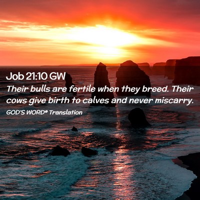 Picture 02 - Job 21:10 GW - Their bulls are fertile when they breed. Their - Bible Verse Picture