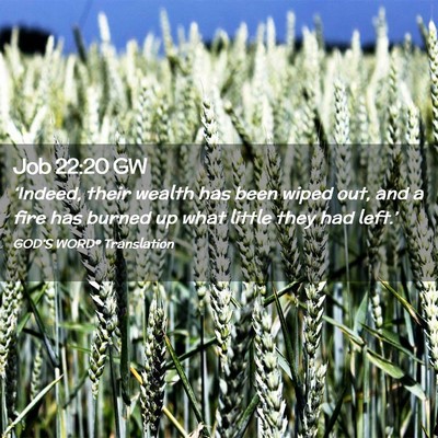 Picture 02 - Job 22:20 GW - ‘Indeed, their wealth has been wiped out, and a - Bible Verse Picture