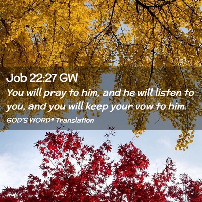 Picture 02 - Job 22:27 GW - You will pray to him, and he will listen to you, - Bible Verse Picture