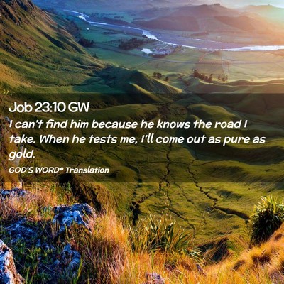 Picture 02 - Job 23:10 GW - I can’t find him because he knows the road I - Bible Verse Picture