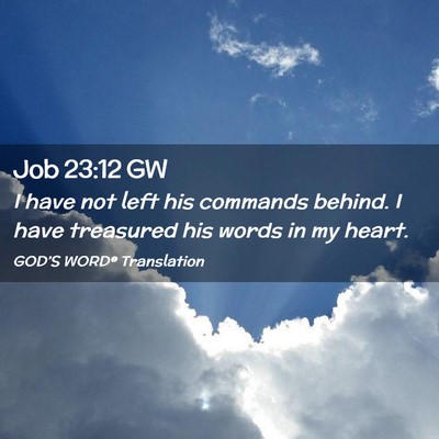 Picture 02 - Job 23:12 GW - I have not left his commands behind. I have - Bible Verse Picture