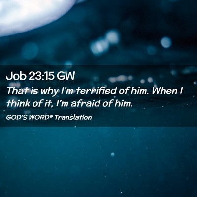 Picture 02 - Job 23:15 GW - That is why I’m terrified of him. When I think - Bible Verse Picture